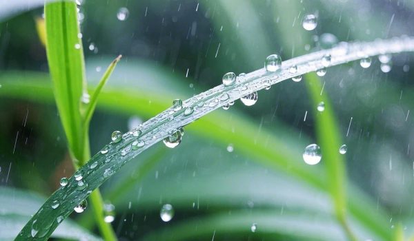 {"aigc_info":{"aigc_label_type":0,"source_info":"dreamina"},"data":{"os":"web","product":"dreamina","exportType":"generation","pictureId":"0"}}